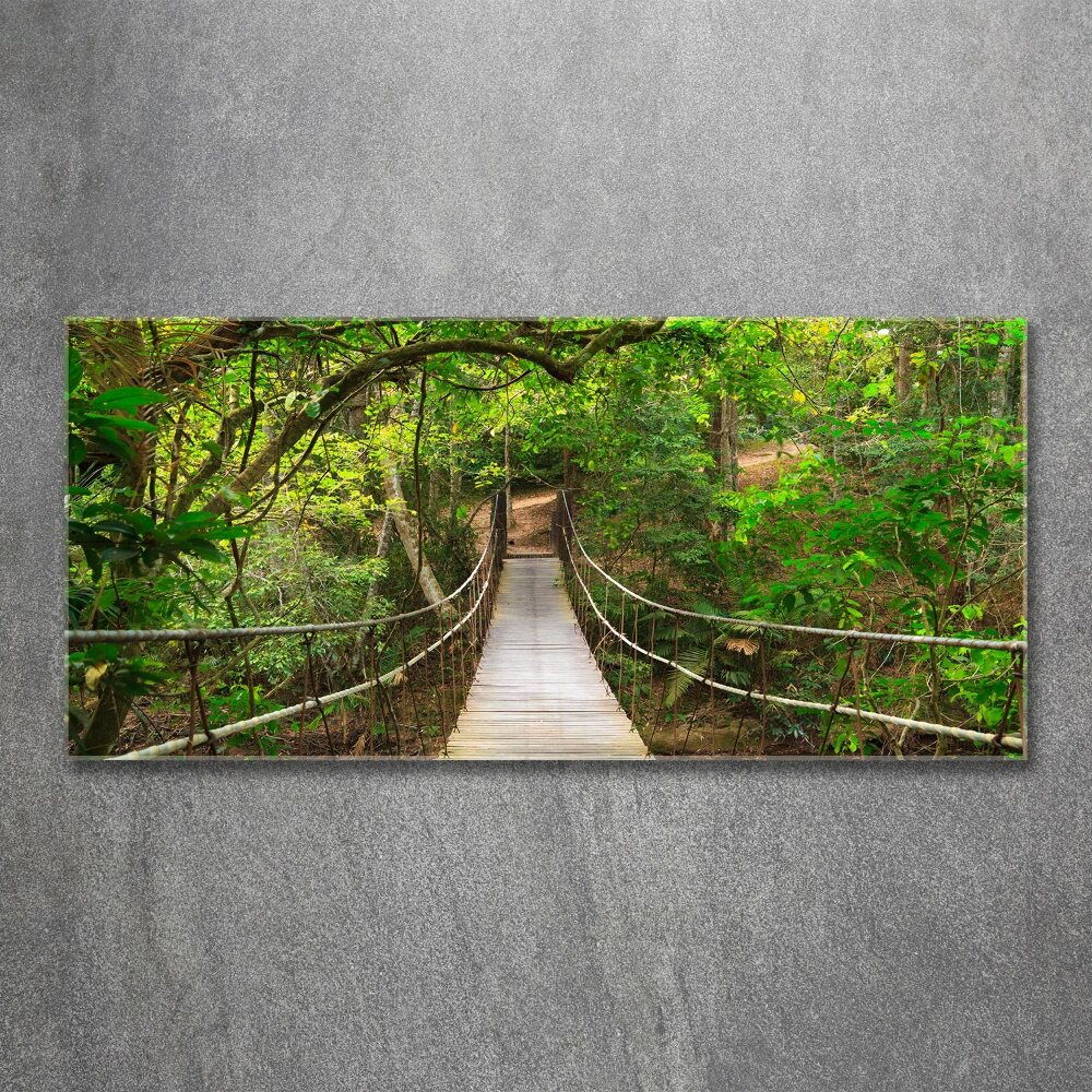 Acrylic wall art Rope bridge