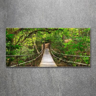 Acrylic wall art Rope bridge