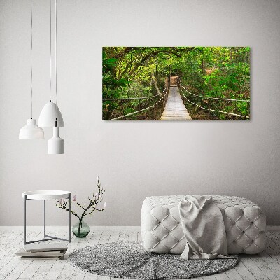 Acrylic wall art Rope bridge