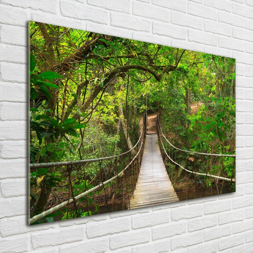 Acrylic wall art Rope bridge