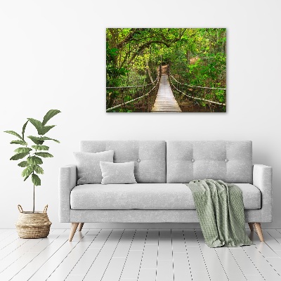 Acrylic wall art Rope bridge