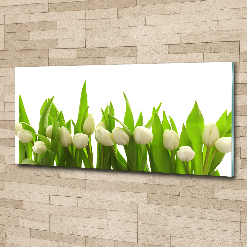 Print on acrylic White tulips