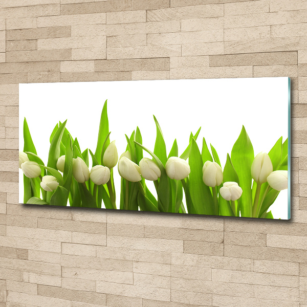 Print on acrylic White tulips