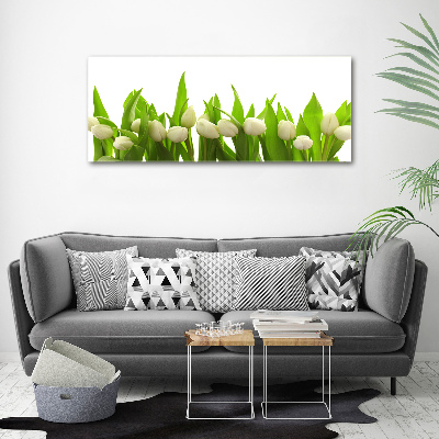 Print on acrylic White tulips