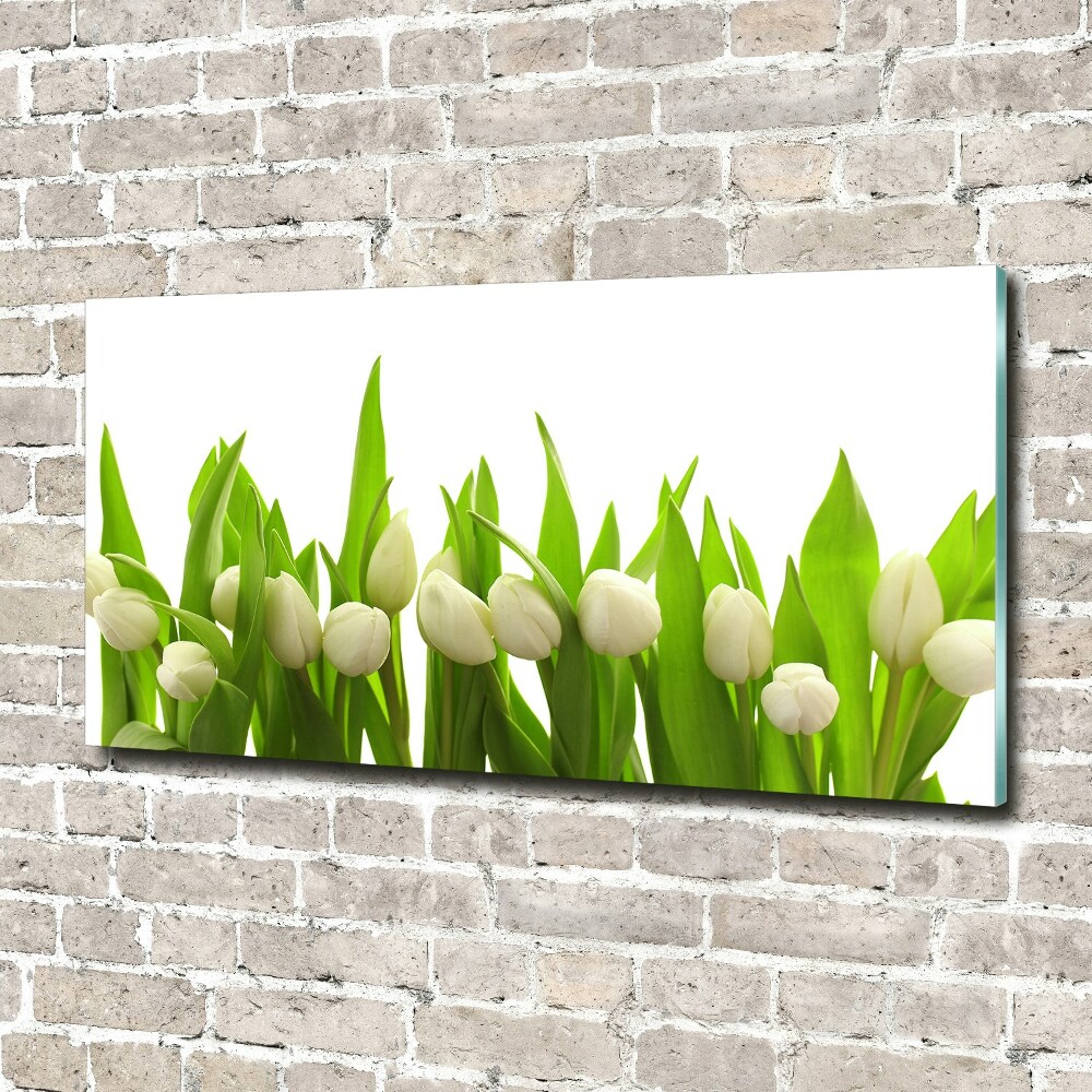 Print on acrylic White tulips