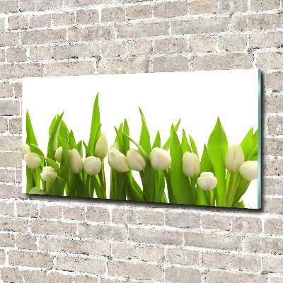 Print on acrylic White tulips