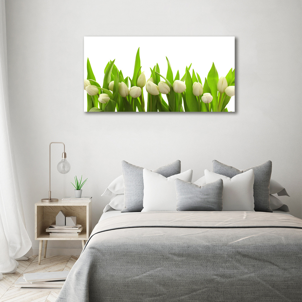 Print on acrylic White tulips