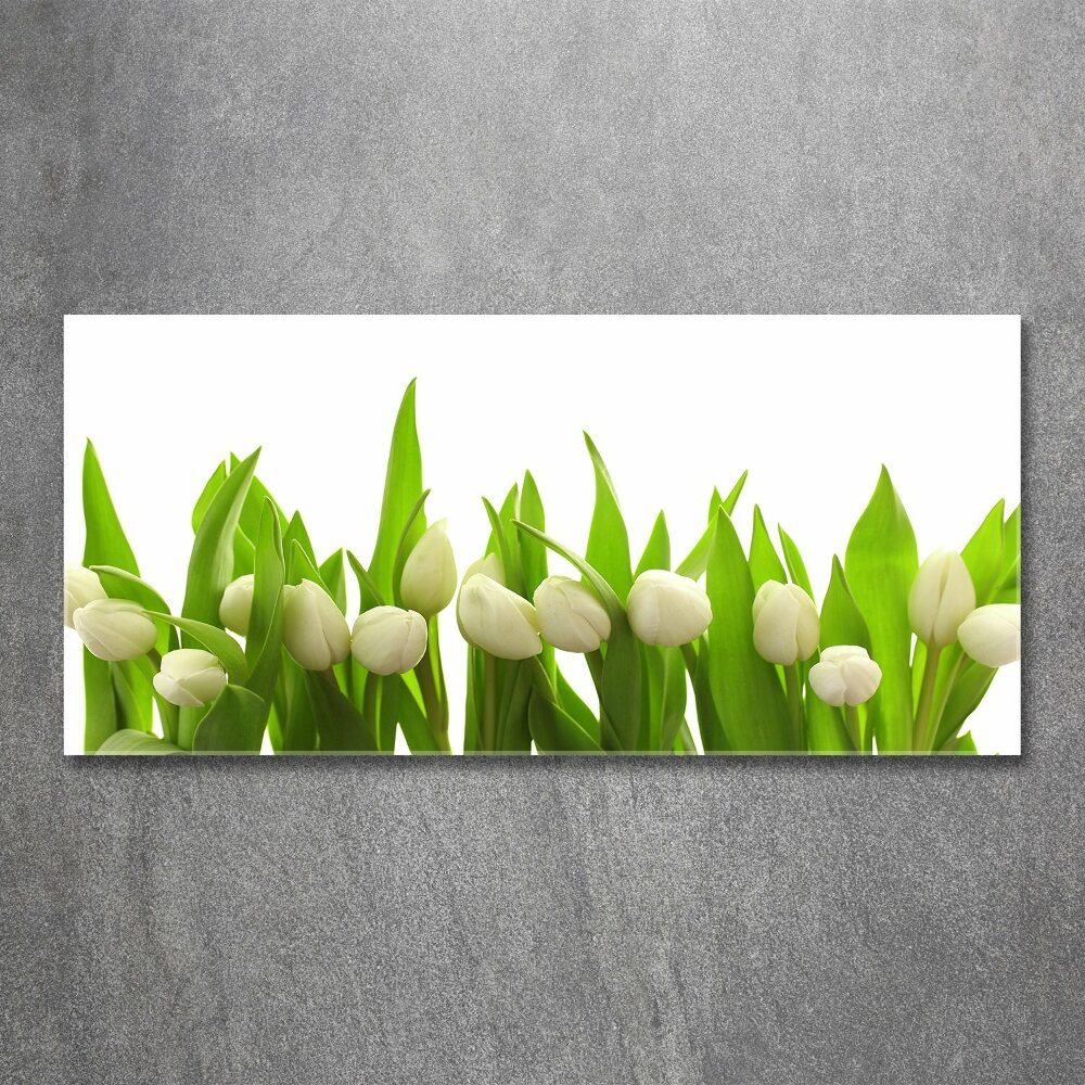 Print on acrylic White tulips