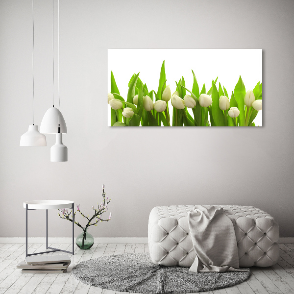 Print on acrylic White tulips