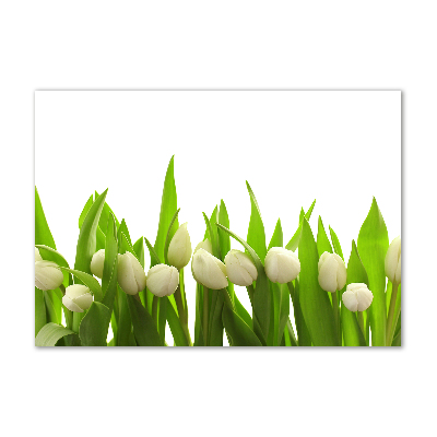 Print on acrylic White tulips