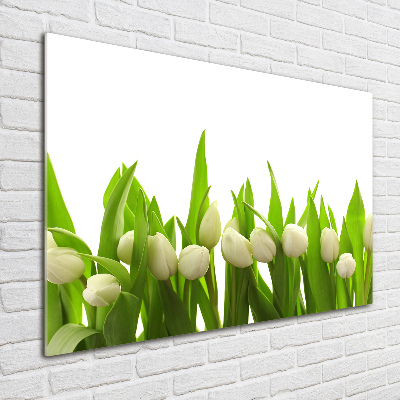 Print on acrylic White tulips