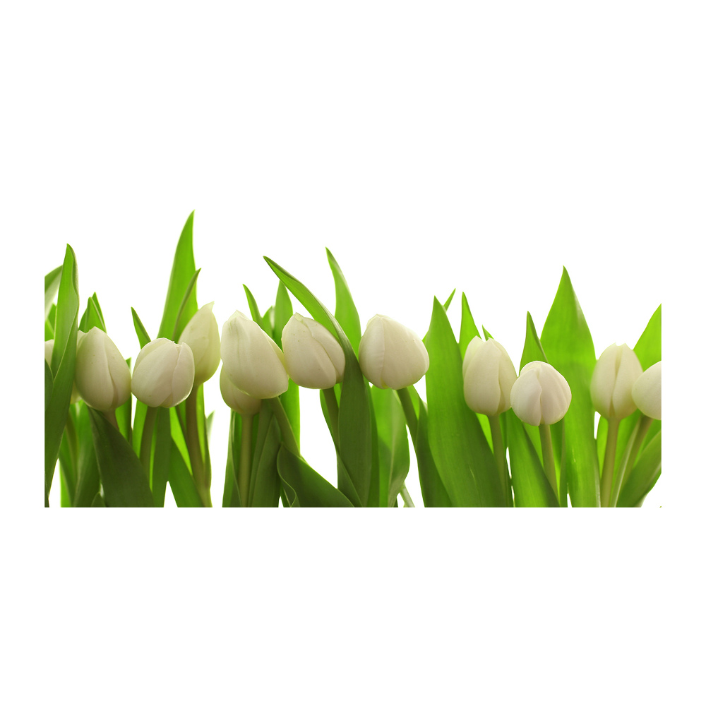 Acrylic wall art White tulips