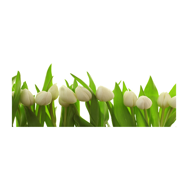 Acrylic wall art White tulips