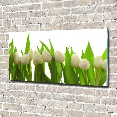 Acrylic wall art White tulips