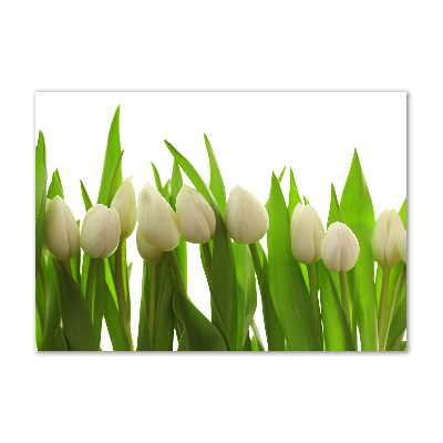 Acrylic wall art White tulips