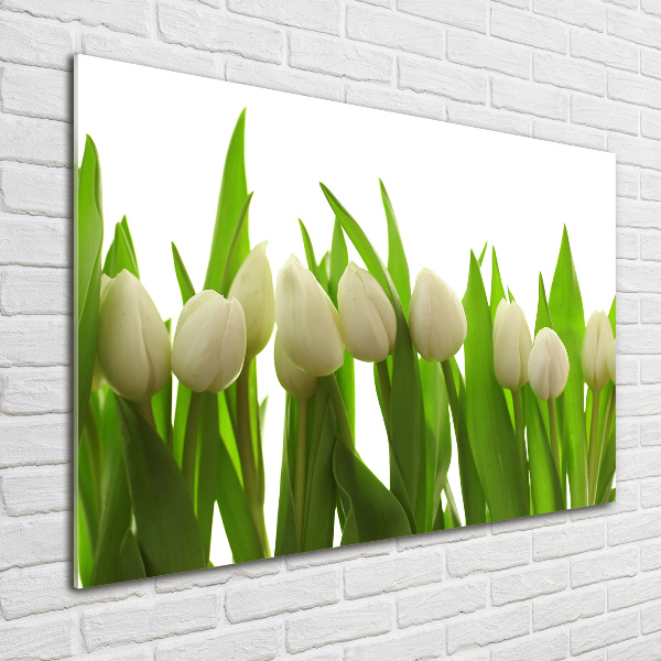 Acrylic wall art White tulips