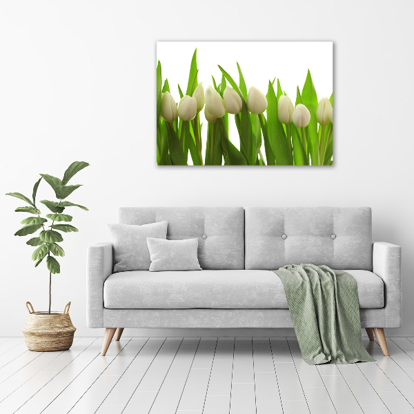 Acrylic wall art White tulips