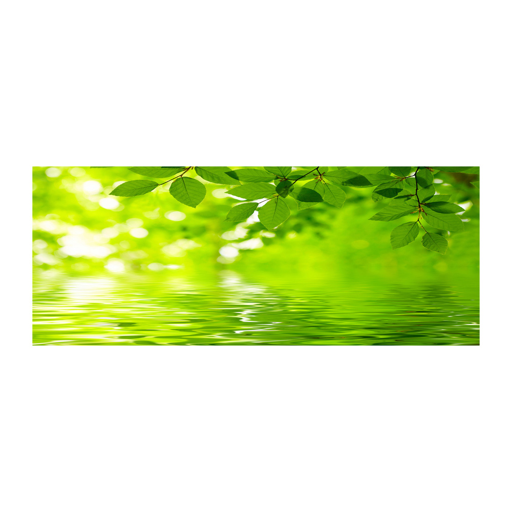 Wall art acrylic Green leaves