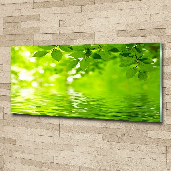 Wall art acrylic Green leaves