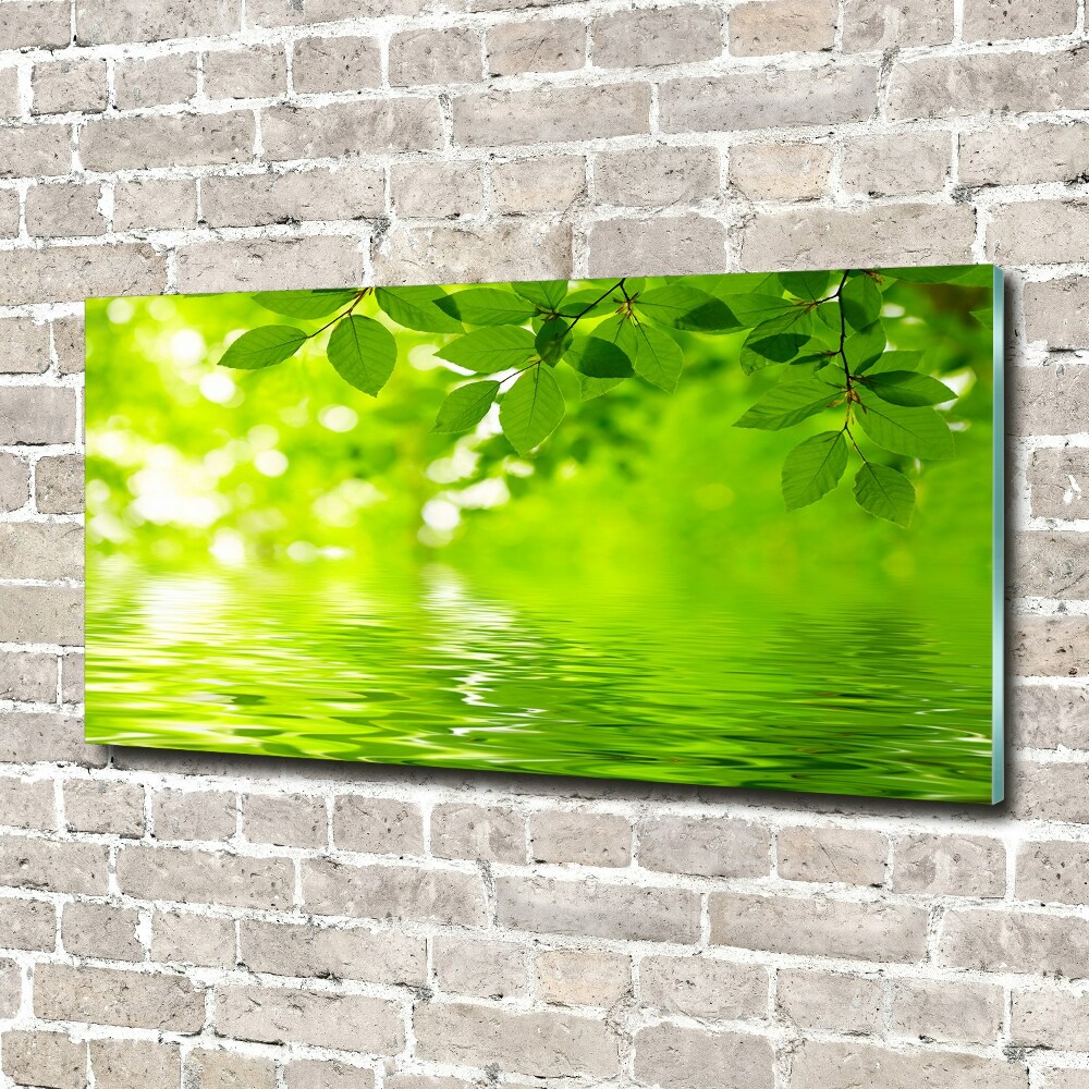 Wall art acrylic Green leaves