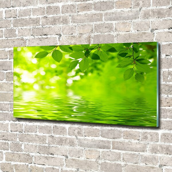 Wall art acrylic Green leaves