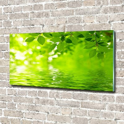 Wall art acrylic Green leaves