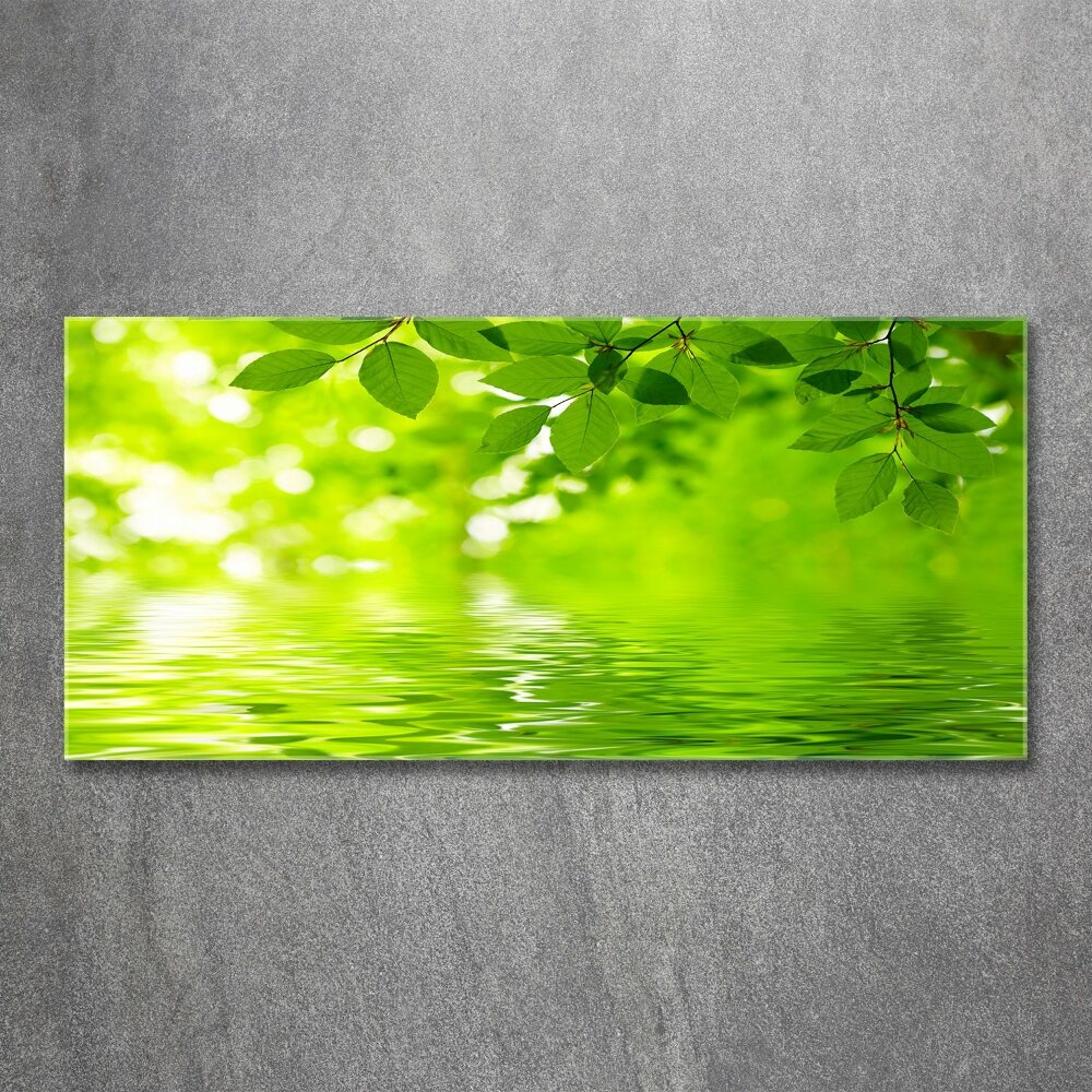 Wall art acrylic Green leaves