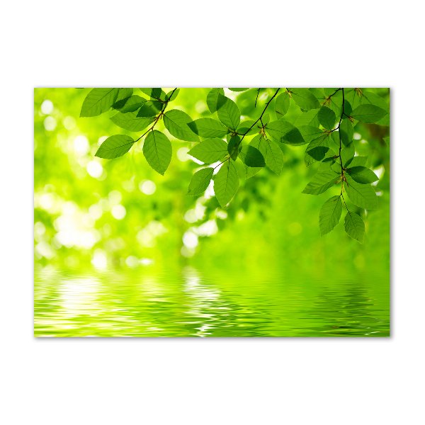 Wall art acrylic Green leaves