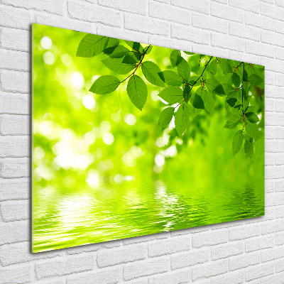 Wall art acrylic Green leaves