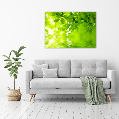 Wall art acrylic Green leaves