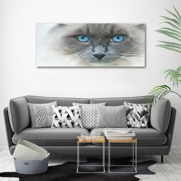 Wall art acrylic Cat blue eyes