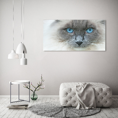 Wall art acrylic Cat blue eyes