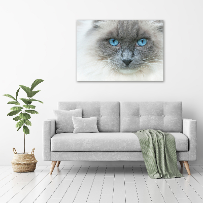 Wall art acrylic Cat blue eyes