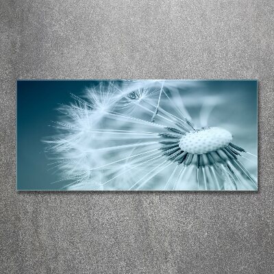 Wall art acrylic Dandelion