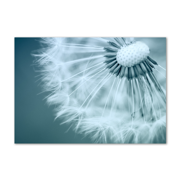 Wall art acrylic Dandelion