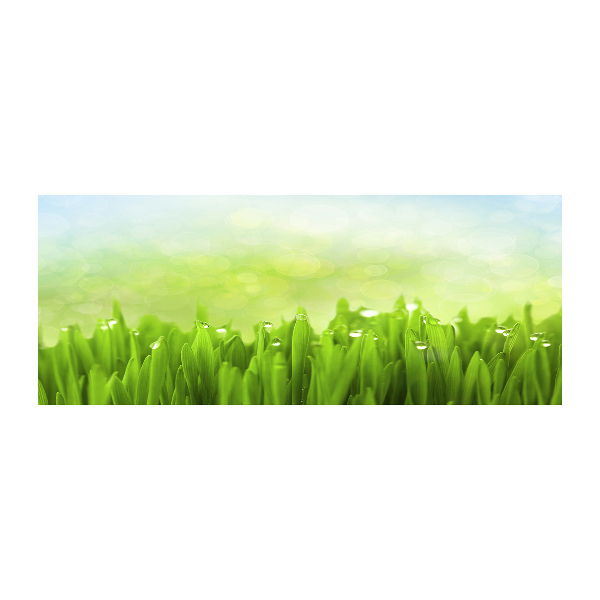 Wall art acrylic Grass