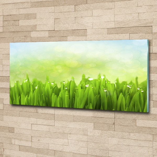 Wall art acrylic Grass