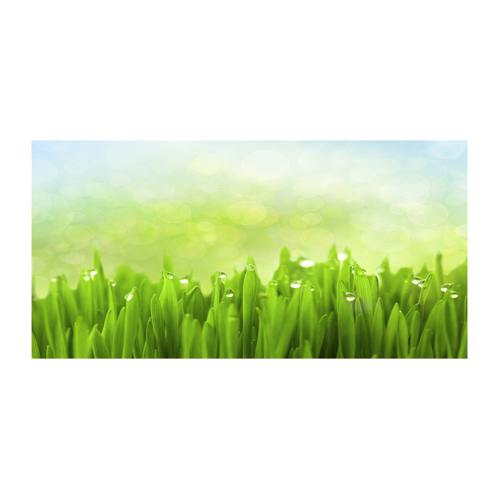 Wall art acrylic Grass