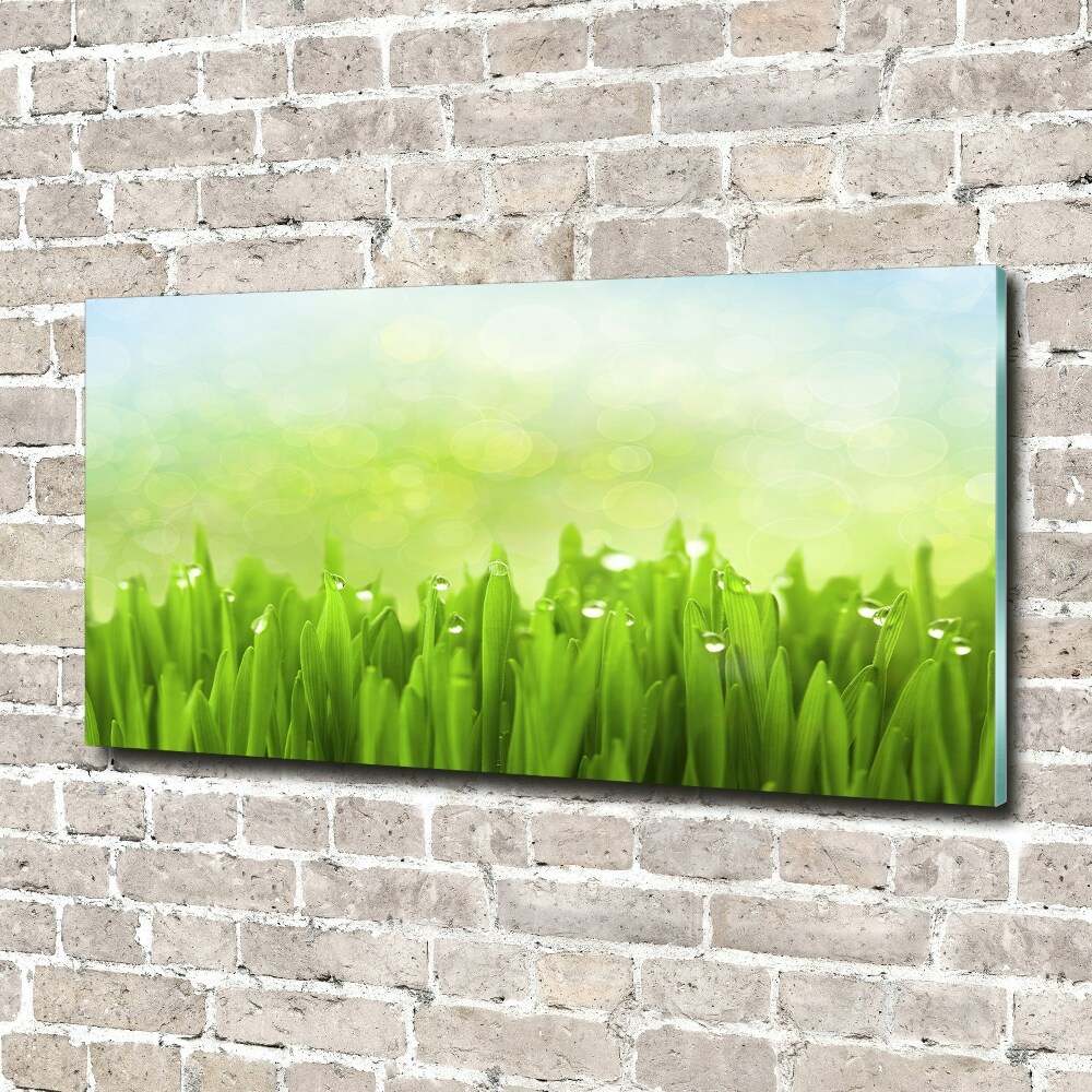 Wall art acrylic Grass