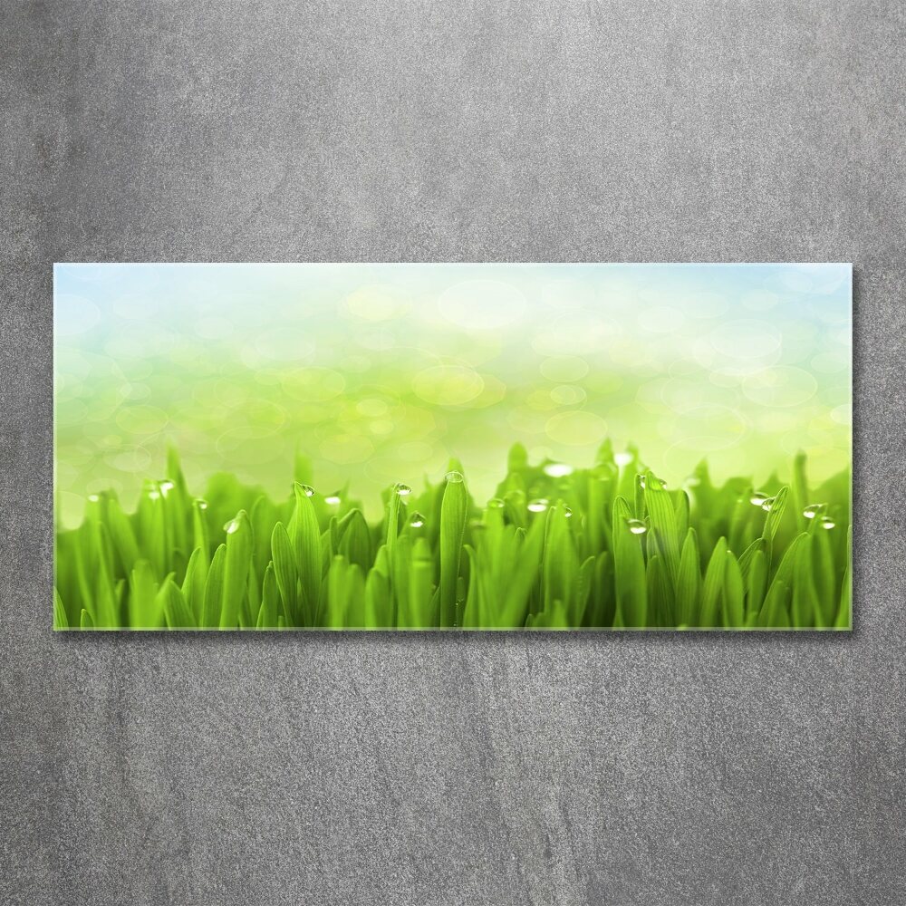 Wall art acrylic Grass