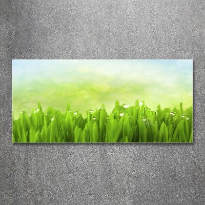 Wall art acrylic Grass