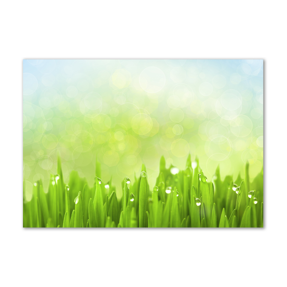 Wall art acrylic Grass