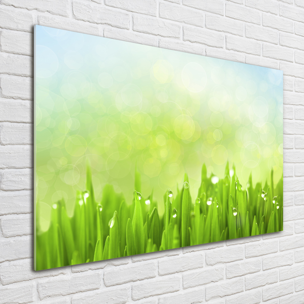 Wall art acrylic Grass