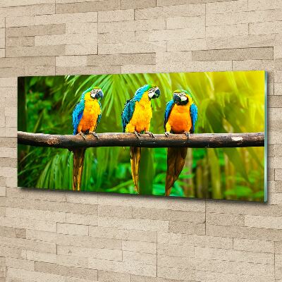 Wall art acrylic Parrots on a branch