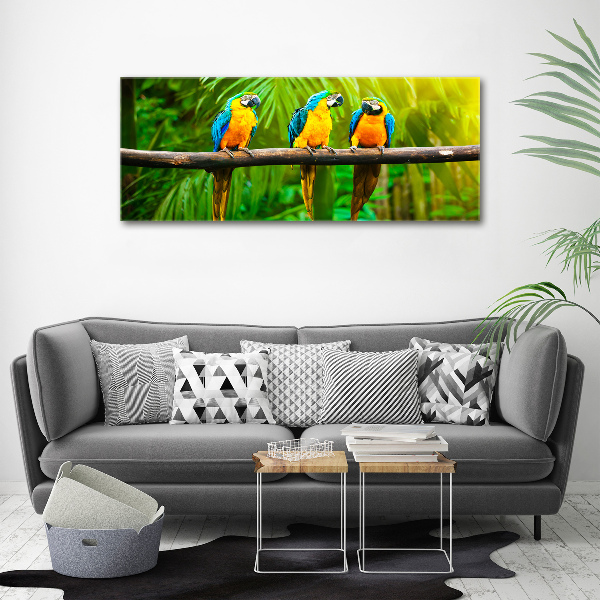 Wall art acrylic Parrots on a branch