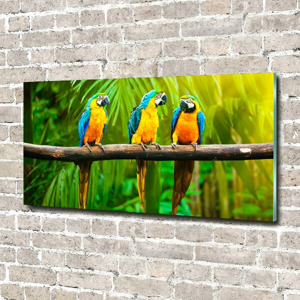 Wall art acrylic Parrots on a branch