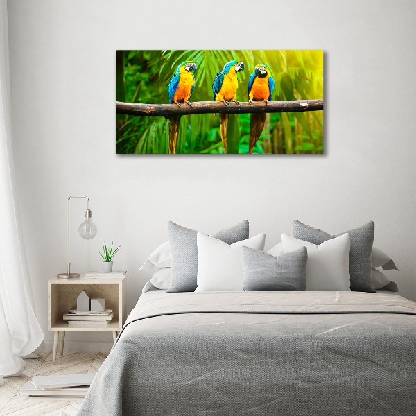 Wall art acrylic Parrots on a branch