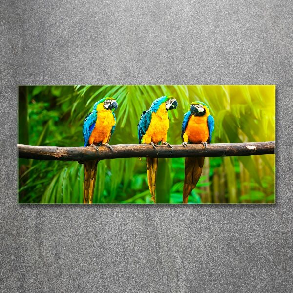 Wall art acrylic Parrots on a branch