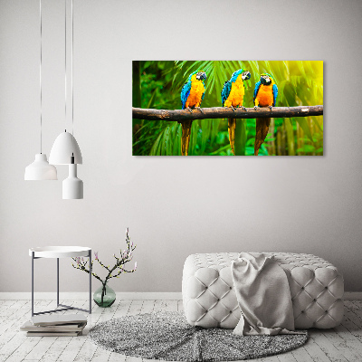 Wall art acrylic Parrots on a branch