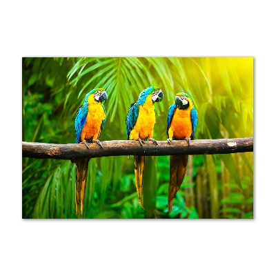 Wall art acrylic Parrots on a branch